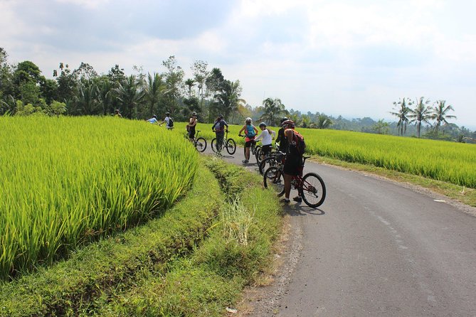 Bali Downhill Cycling and White Water Rafting - Customer Review Highlights
