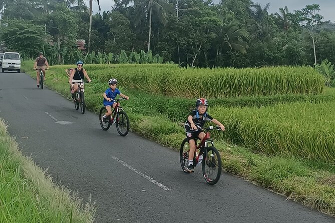 Bali Downhill Natural Cycling Tour & Visit Volcano - Reviews and Feedback