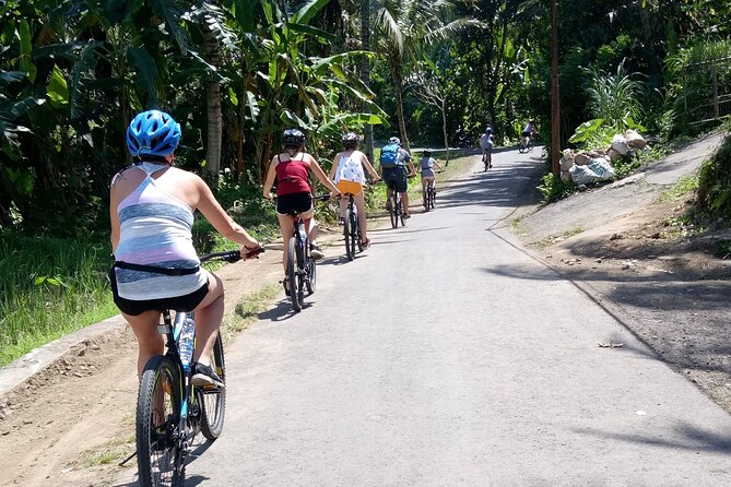 Bali Downhill Natural Cycling Tour & Visit Volcano - Cycling Experiences