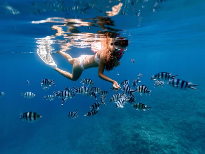Bali: East Bali Hidden Gems. Exotic Beaches & Waterfalls. - Itinerary Highlights