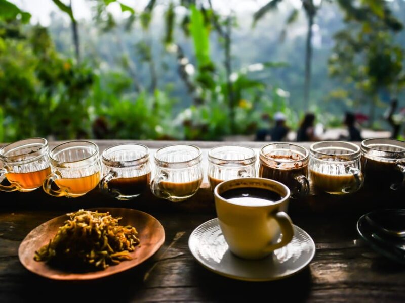 Bali: East Bali Wonders, Gate of Heaven, Water Palace & More - Preparation and Guidelines