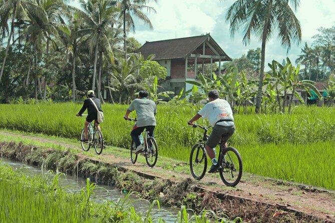 Bali Eco Cycling Tour - Pickup Information