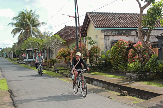 Bali Eco Cycling Tour - Reviews and Feedback