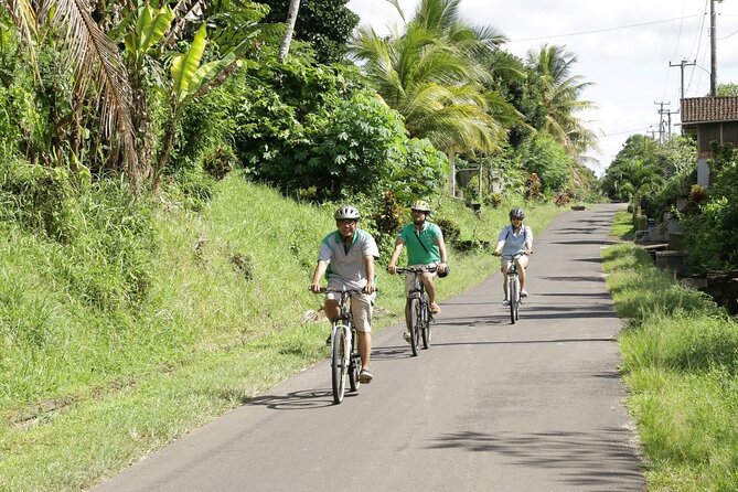 Bali Eco Cycling Tour - Pricing and Booking