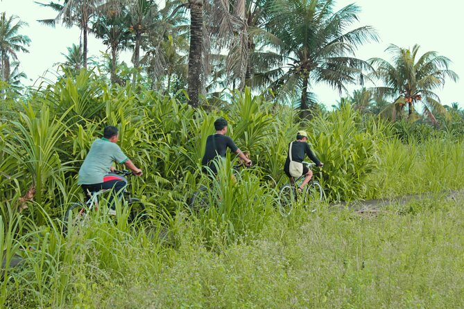 Bali Eco Cycling Tour - Biking Through Balinese Countryside