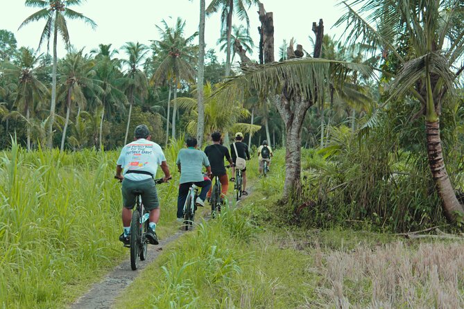 Bali Eco Cycling Tour - Cooking Class and Balinese Meal