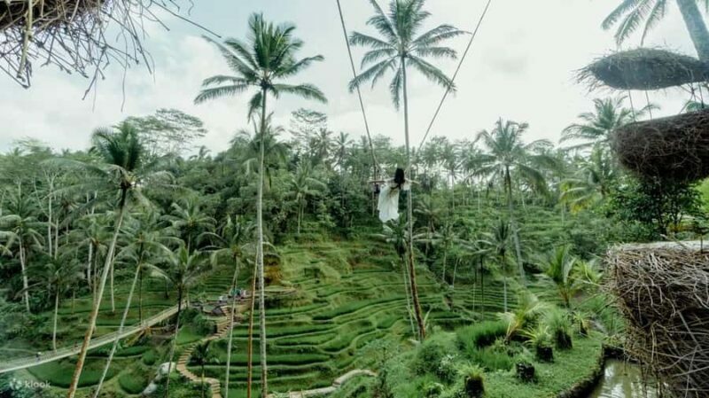 BALI EXCURSIONS: EXPLORING THE EXOTIC OF BALI - Who Should Consider This Tour?