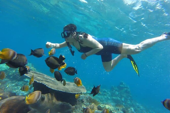 Bali Experience Blue Lagoon Snorkeling and Hidden Waterfall - Good To Know