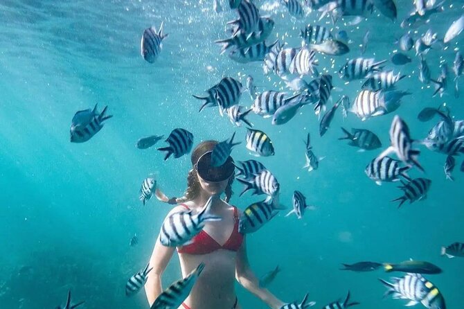 Bali Experience Blue Lagoon Snorkeling and Hidden Waterfall - Highlights of the Tour