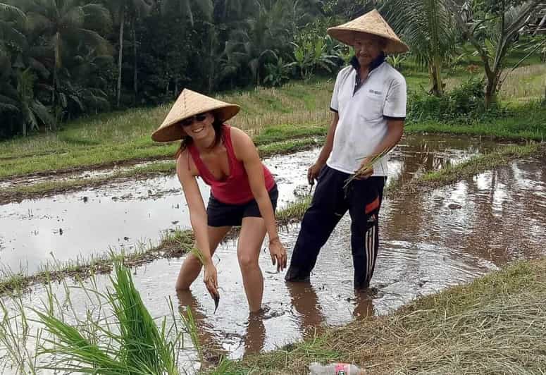 Bali: Explore Cultural Heritage and Bamboo Forest Tour - Pickup and Accessibility