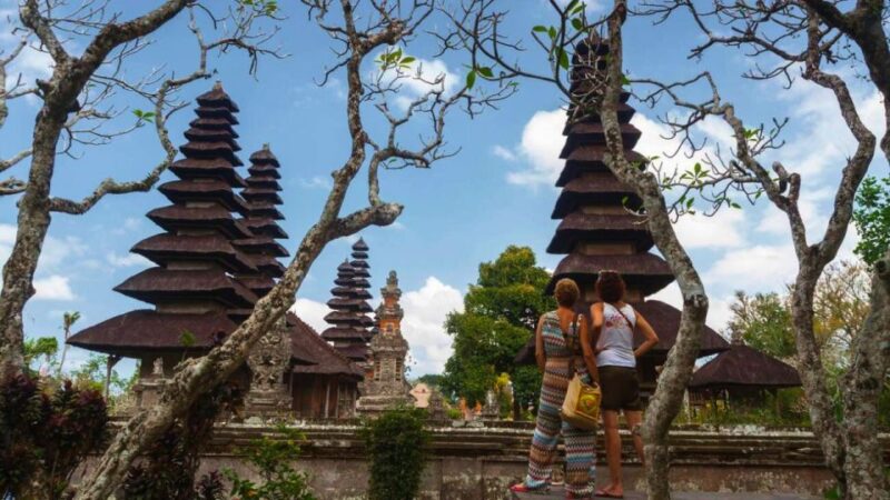 Bali Explorer: Tailored Adventures With Private Driver - Location Customization Options