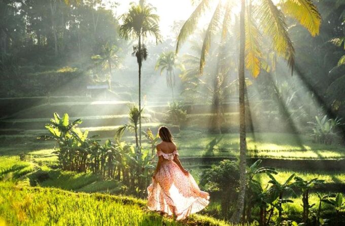 Bali Explorer: Tailored Adventures With Private Driver - Included Amenities