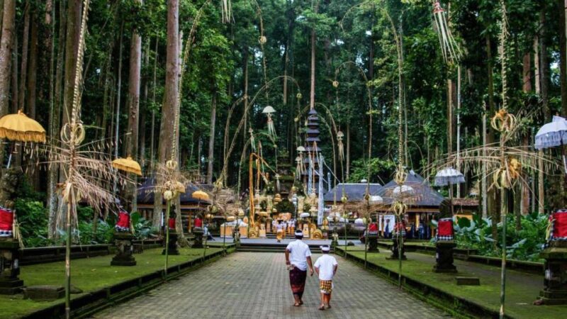 Bali Explorer: Tailored Adventures With Private Driver - Included Services and Amenities