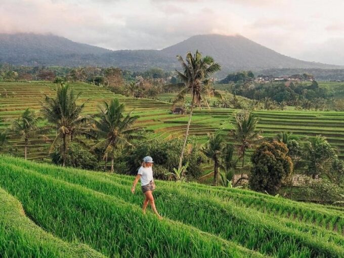 Bali : Famous Stop Handara, Jatiluwih,Secret Garden & Temple - Ulun Danu Beratan Temple
