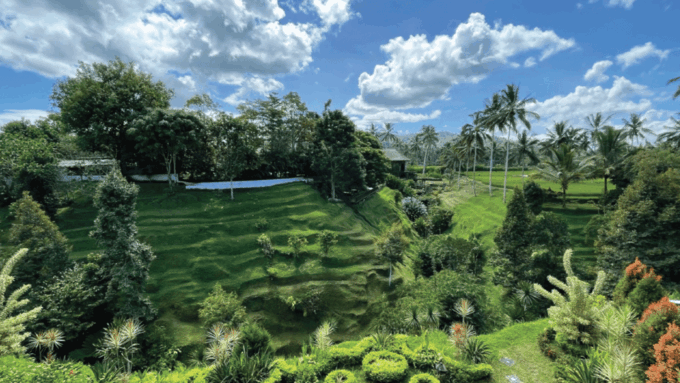 Bali : Famous Stop Handara, Jatiluwih,Secret Garden & Temple - Jatiluwih Rice Terrace