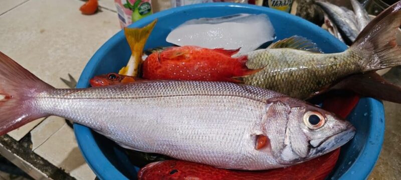 Bali : Fishing Charter Private Boat - Included Services