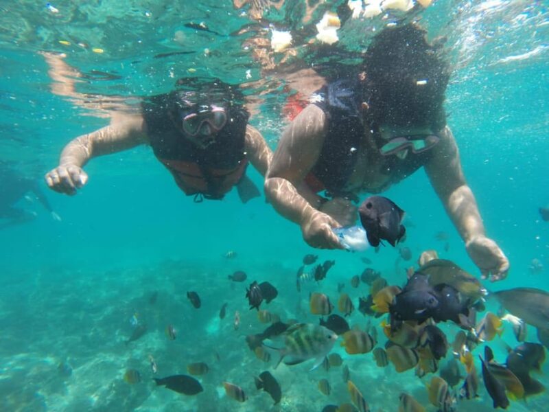 Bali : Fishing Trip & Blue Lagoon Snorkeling : All Inclusive - Itinerary and Activities