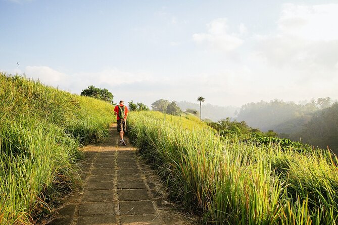 Bali: Floating Breakfast, Jungle Swing & Spa Romantic Tour - Key Points