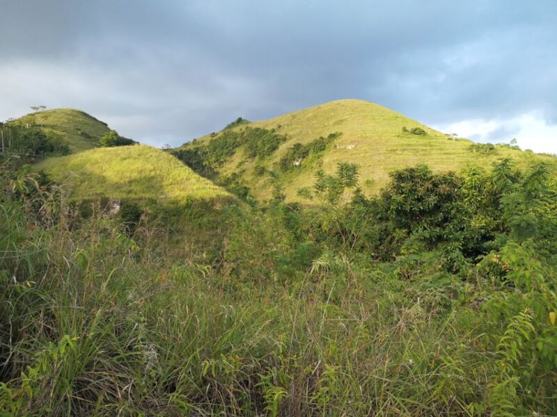 Bali: From Bali Nusa Penida East Trip All Inclusive - Highlights of the Experience