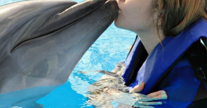 Bali : Full Day Bali Dolphin Tour - Key Points