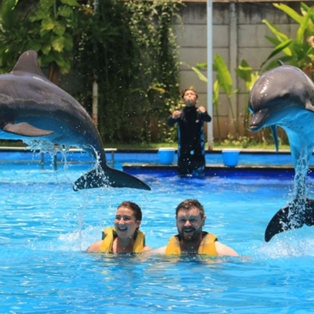 Bali : Full Day Bali Dolphin Tour - Itinerary Highlights