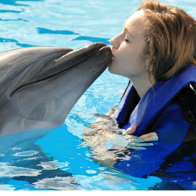 Bali : Full Day Bali Dolphin Tour - Dolphin Experience