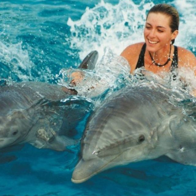 Bali : Full Day Bali Dolphin Tour - Pickup and Drop-off Locations