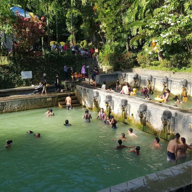Bali : Full Day Bali Dolphin Tour - Private Group Experience