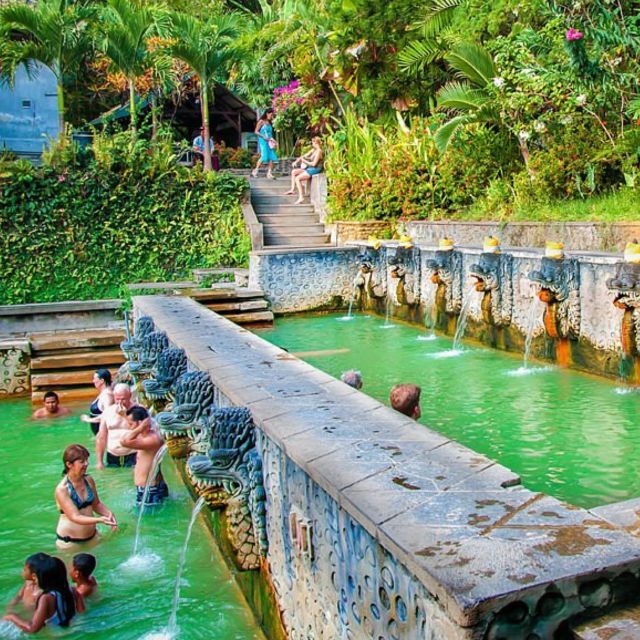 Bali : Full Day Bali Dolphin Tour - Frequently Asked Questions
