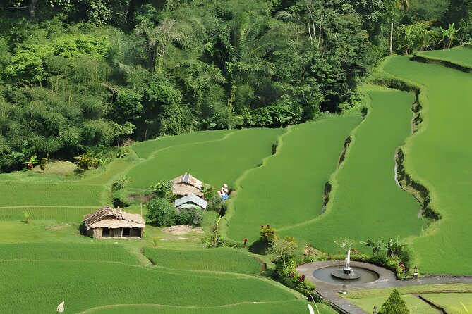 Bali Full-Day Car Charter: Beauty of North Bali Tour - Pickup Information