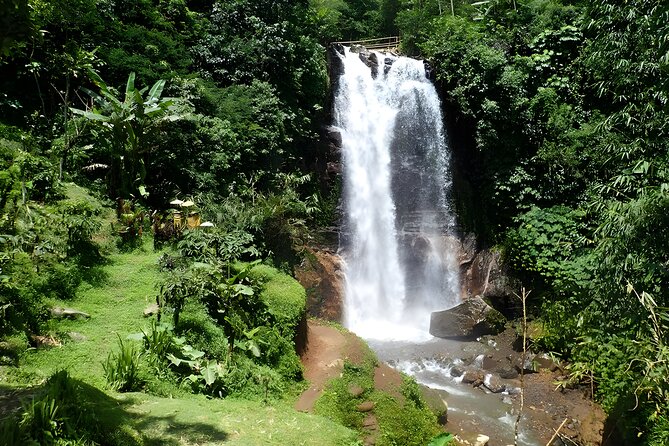 Bali Full-Day Car Charter: Beauty of North Bali Tour - Customer Reviews