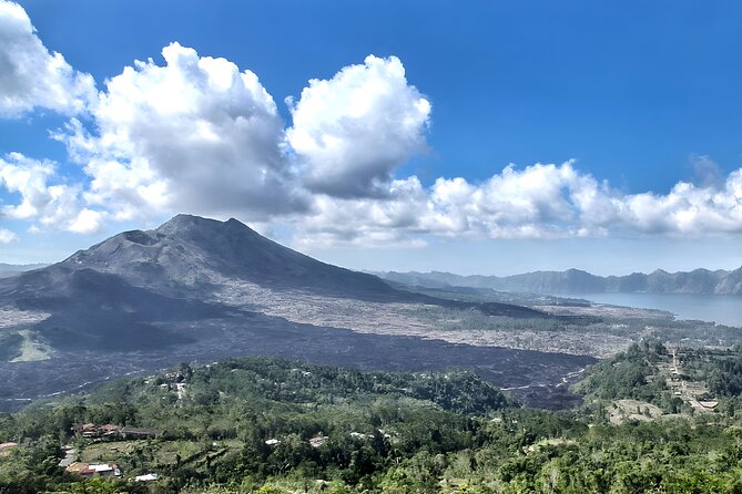 Bali Full-Day Car Charter: Ubud and Kintamani Volcano Tour - Sacred Monkey Forest Sanctuary