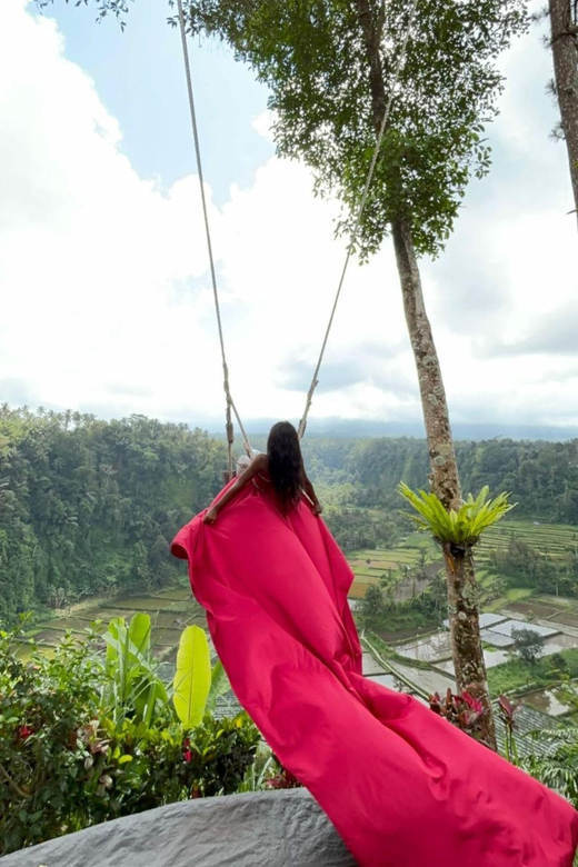 Bali :Full Day Customized Private Tour - Inclusions and Exclusions