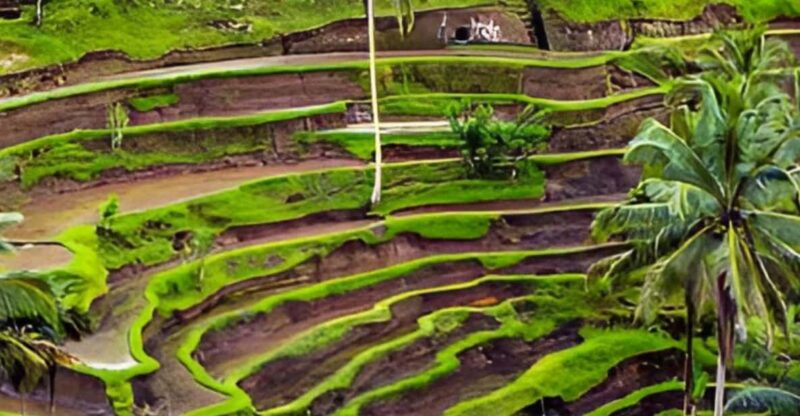 Bali :Full Day Customized Private Tour - What to Bring and Restrictions