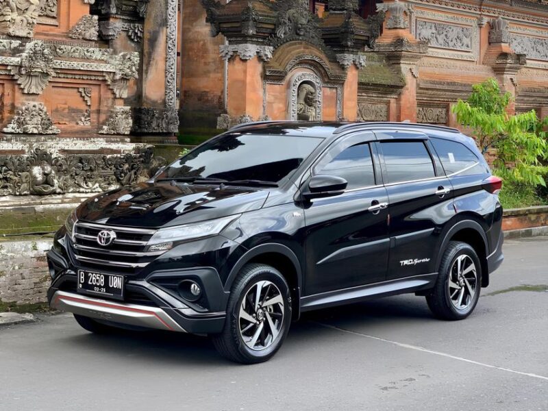 Bali Full Day Customized Private Tour - Driver and Vehicle Information