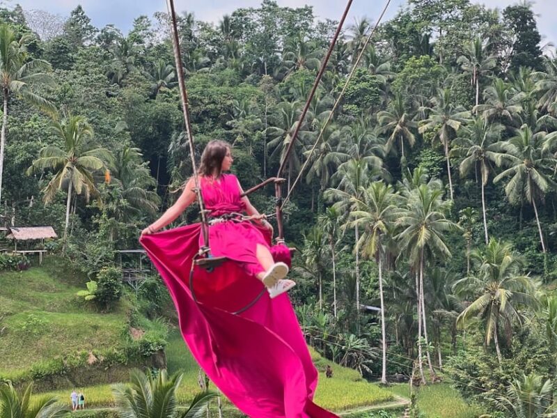 Bali Full Day Customized Tour - North Bali Tour
