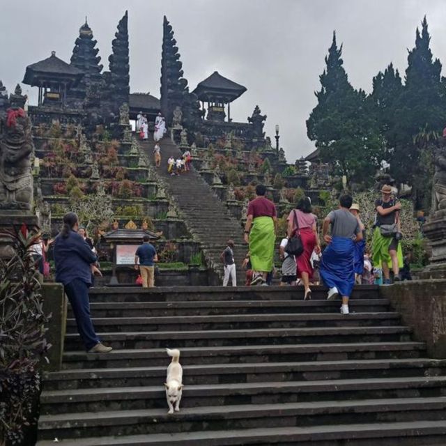 Bali Full Day Kintamani - Besakih Tour - Inclusions