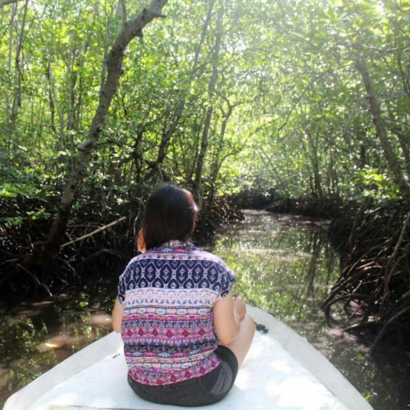 Bali : Full Day Nusa Lembongan - Snorkeling Tour - An Introduction to the Tour