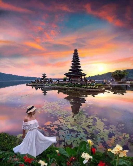 Bali Full Day Optional Tour Packages - Ubud Village Tour With Monkey Forest