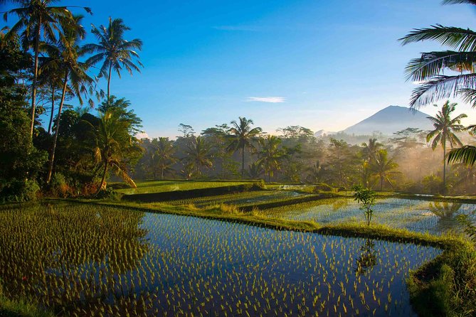Bali Full Day Photography Tour - Schedule