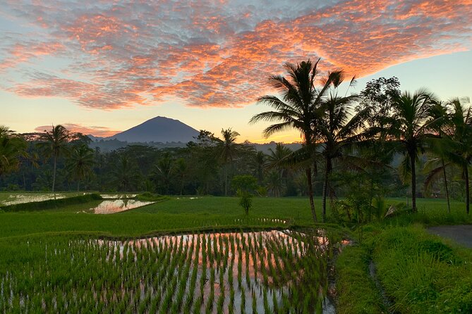 Bali Full Day Photography Tour - Scenic Locations