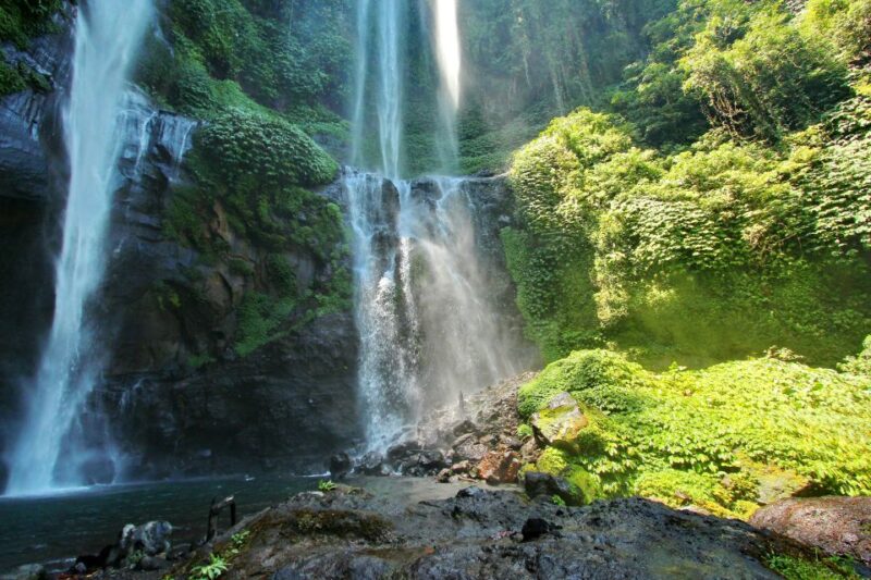 Bali Full-Day Private Customized Tour - Additional Services and Costs