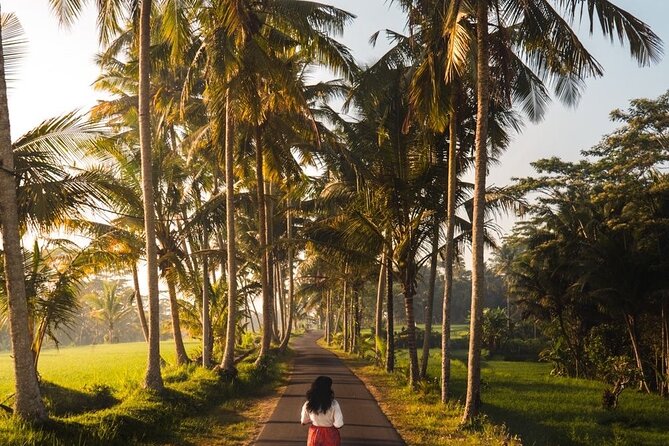 Bali Full Day Private Customized Tour - Exploring Bali at Your Own Pace