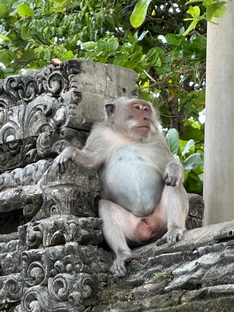 Bali: Full-Day Private Tour With Driver - Balis Natural Landscapes