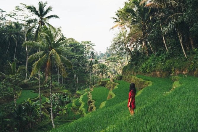Bali Full-Day Sightseeing Trip With Lunch - Meeting and Pickup