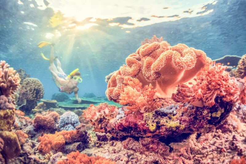 Bali: Full-Day Snorkeling Trip to Nusa Penida & Manta Point - Key Points
