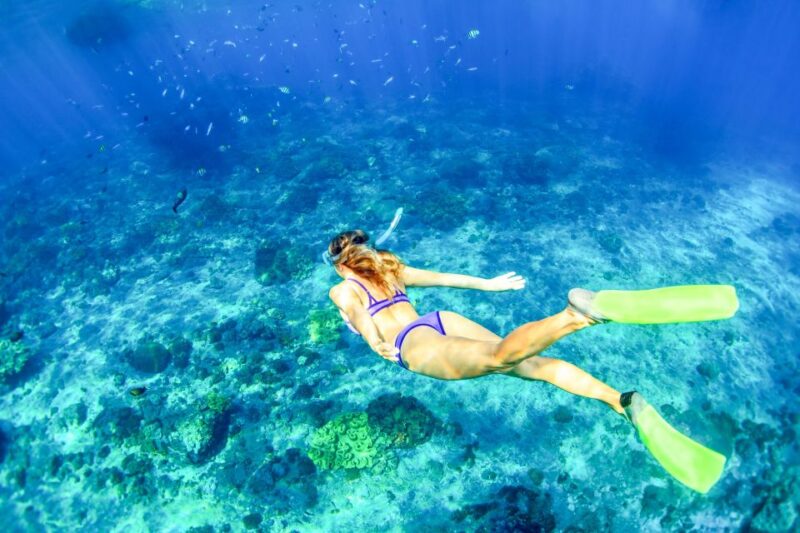 Bali: Full-Day Snorkeling Trip to Nusa Penida & Manta Point - Included in the Tour