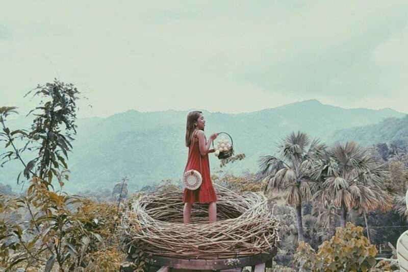 Bali: Full-Day Temple and Waterfall Tour With Transport - Inclusions