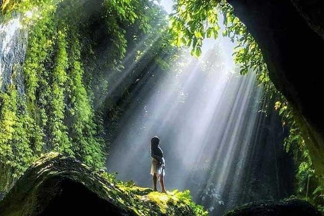 Bali Full Day Tour - East Bali Instagram Tour - Reviews and Ratings