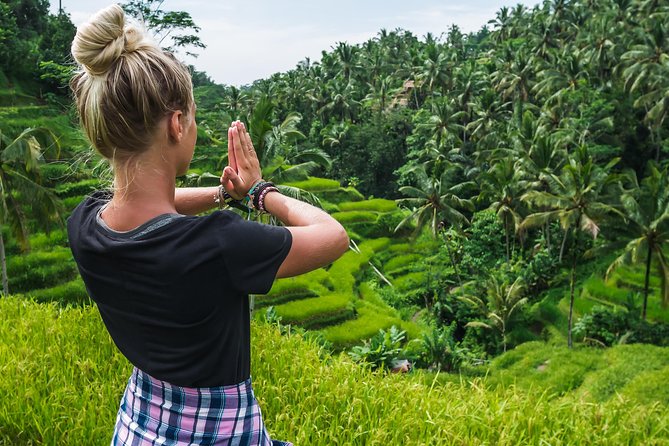 Bali Full Day Tour: Highlights of Ubud and Hidden Waterfall - Pick-up and Drop-off